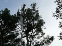 P1070799